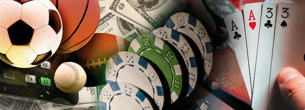 Aventuras e Oportunidades na 811 Bet