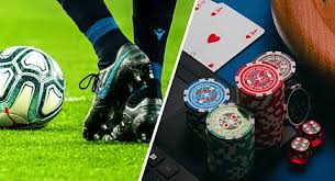 Understanding the Trends and Strategies in eipl bet